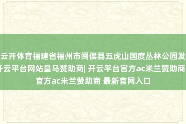 云开体育福建省福州市闽侯县五虎山国度丛林公园发生丛林大火-开云平台网站皇马赞助商| 开云平台官方ac