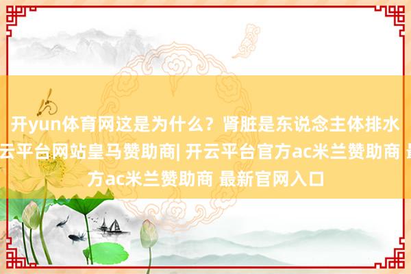 开yun体育网这是为什么？肾脏是东说念主体排水的总阀门-开云平台网站皇马赞助商| 开云平台官方ac米兰赞助商 最新官网入口