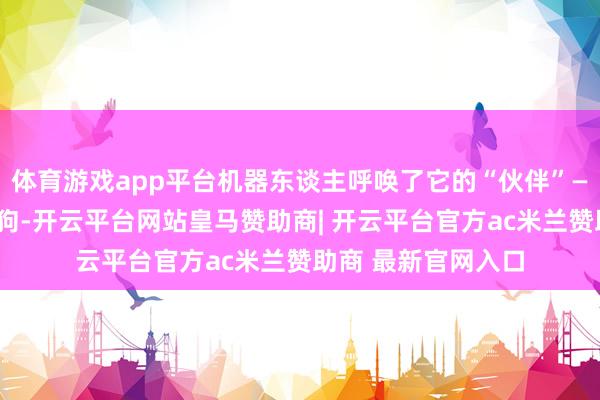 体育游戏app平台机器东谈主呼唤了它的“伙伴”——驾御的四足机器狗-开云平台网站皇马赞助商| 开云平台官方ac米兰赞助商 最新官网入口