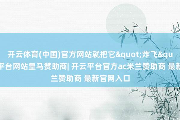 开云体育(中国)官方网站就把它"炸飞"-开云平台网站皇马赞助商| 开云平台官方ac米兰赞助商 最新官网入口