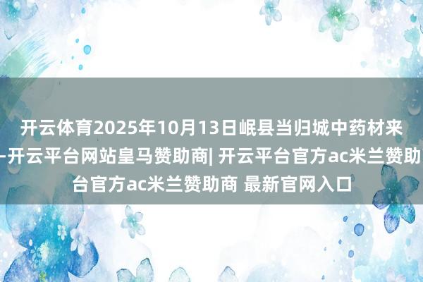 开云体育2025年10月13日岷县当归城中药材来去市集价钱行情-开云平台网站皇马赞助商| 开云平台官方ac米兰赞助商 最新官网入口